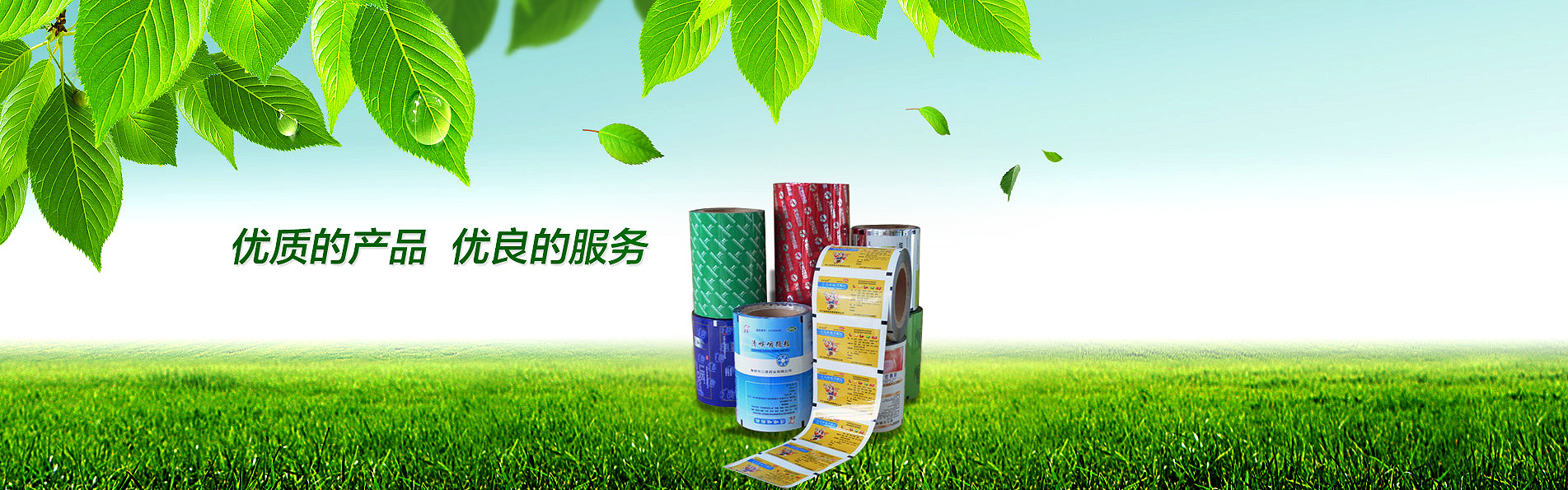 復(fù)合膜_PVC硬片_PTP鋁箔 復(fù)合膜_PVC硬片_PTP鋁箔